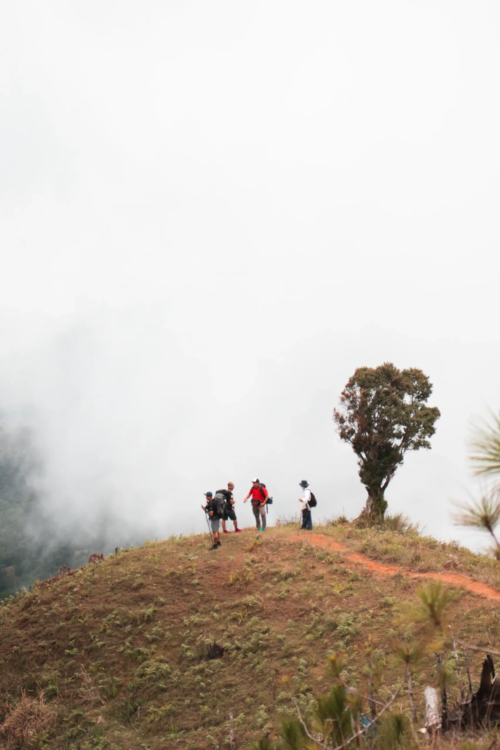 Small group of hikers on a misty hilltop