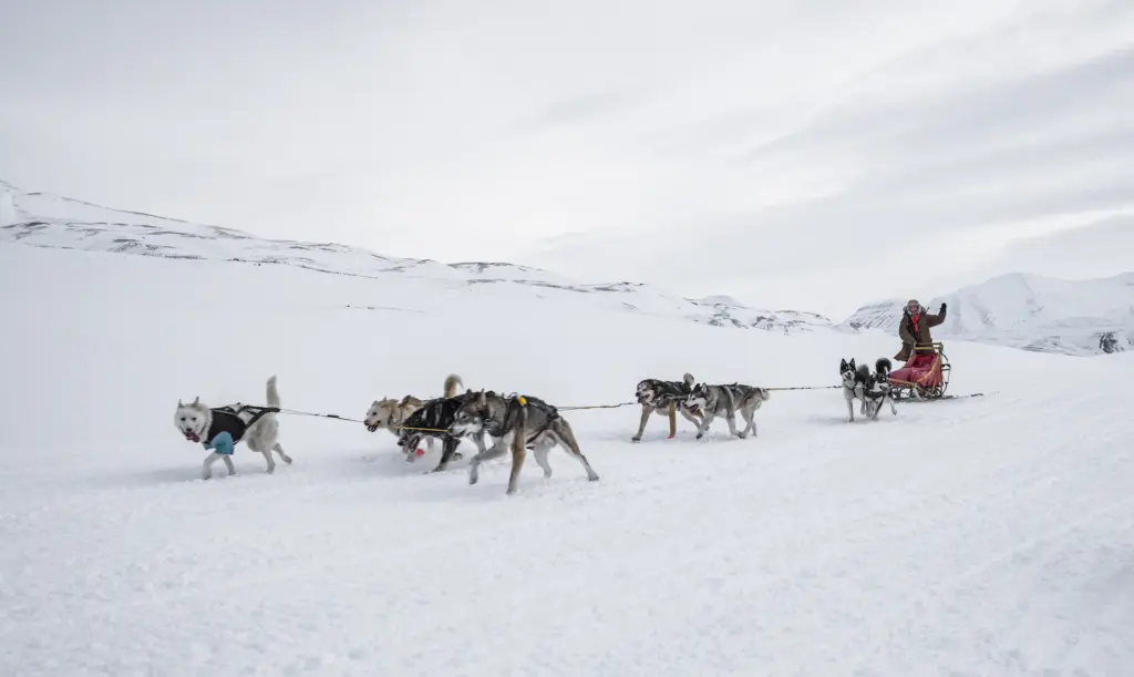 Lapland Husky Sledding Expedition